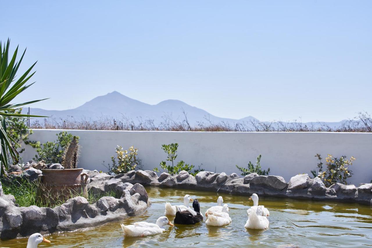 Glarakia Studios Adamantas  ภายนอก รูปภาพ